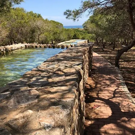 Cozy House Near La Mata شقة